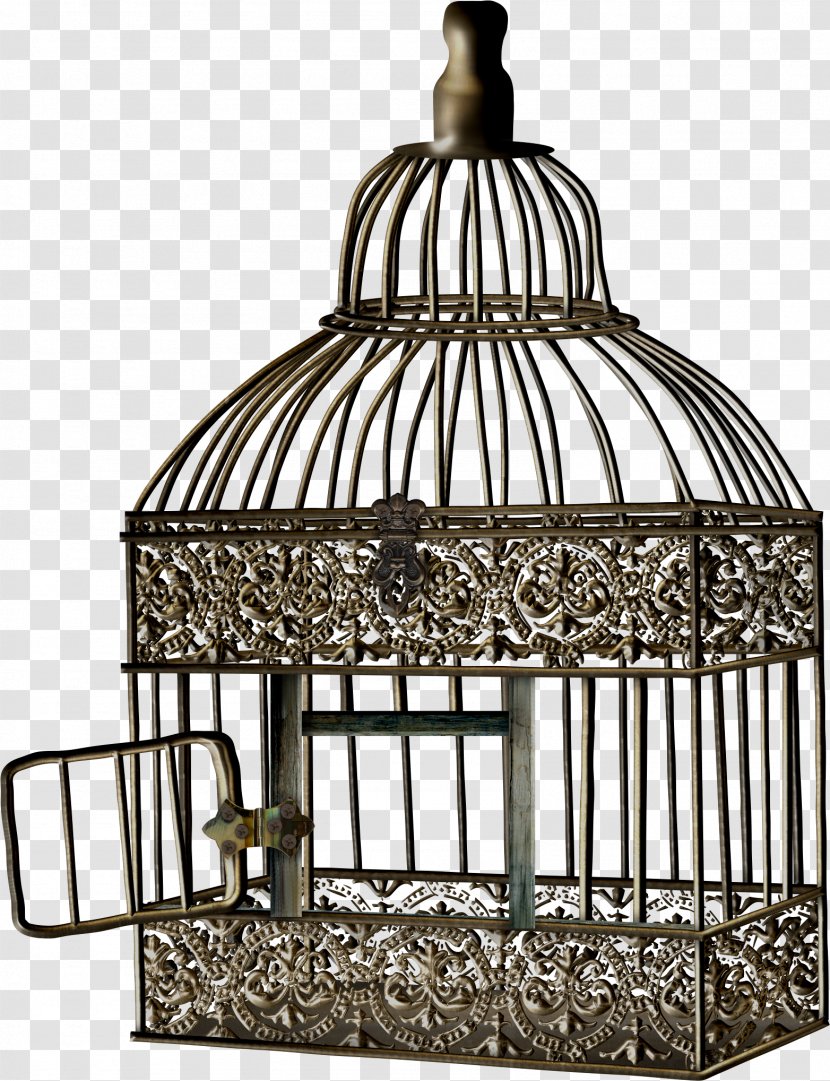 Bird Cage Cell Clip Art - Albom Transparent PNG