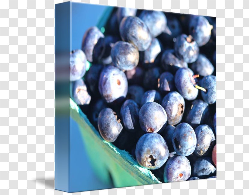 Blueberry Bilberry Huckleberry Food Juniper Berry - Fruit Transparent PNG