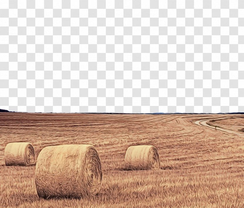 Hay Field Straw Farm Agriculture - Prairie Plain Transparent PNG