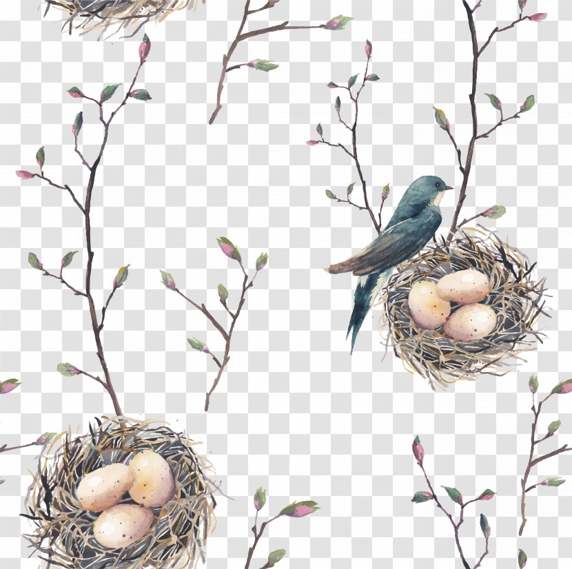 Bird Nest Swallow Tree Pattern - Cartoon Vector Transparent PNG