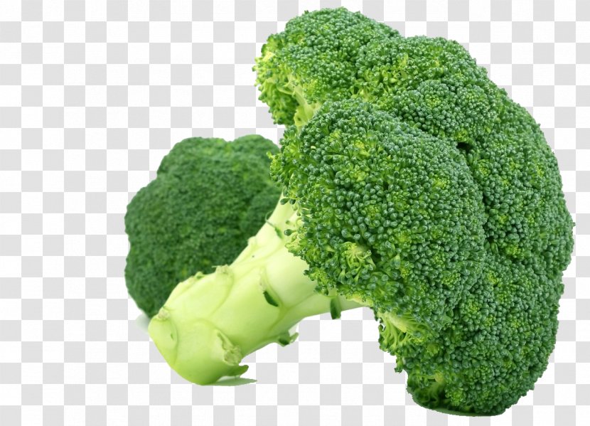 Broccoli Nutrient Health Nutrition Food Transparent PNG