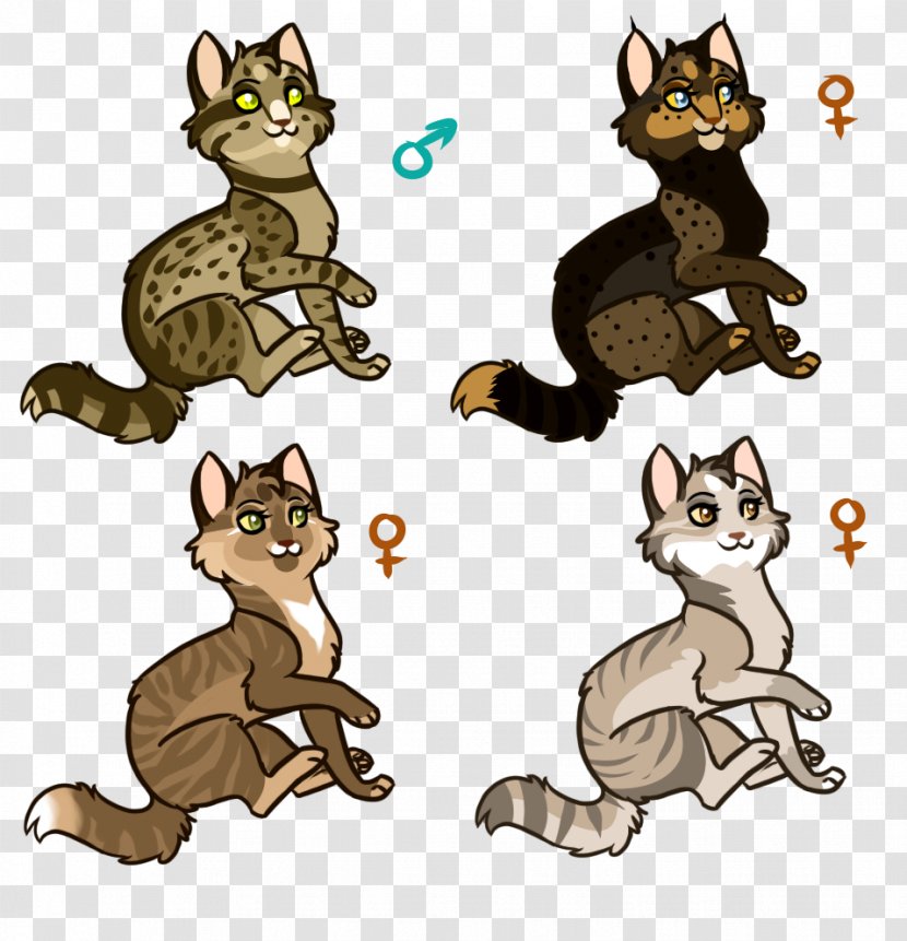 Whiskers Kitten Wildcat Canidae - Tail Transparent PNG