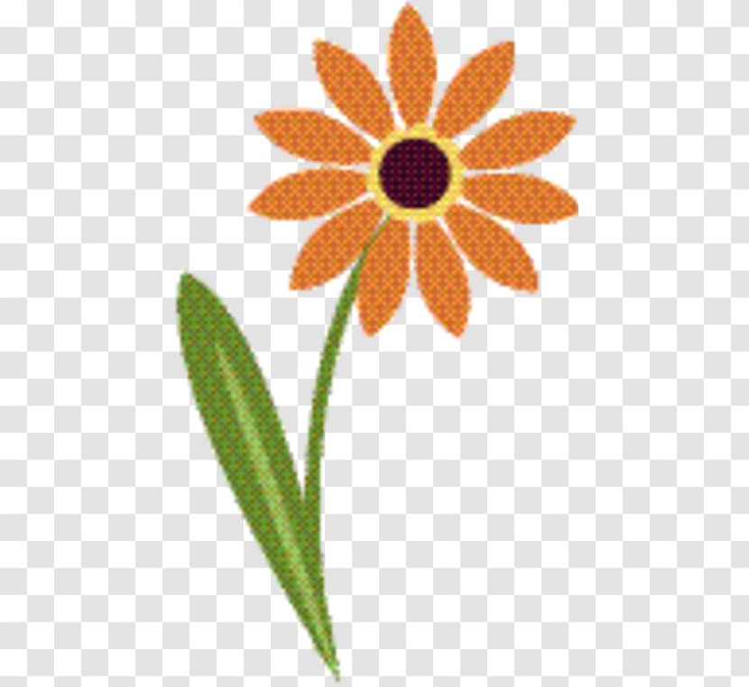 Marigold Flower - Classes For All Ages - Sunflower Gerbera Transparent PNG
