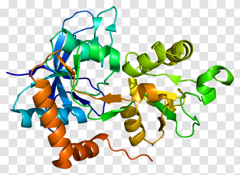 GRIN2A NMDA Receptor N-Methyl-D-aspartic Acid Gene GRIN1 - Area - Nmda Transparent PNG