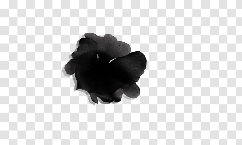 Clip Art - Petal - Black And White Transparent PNG