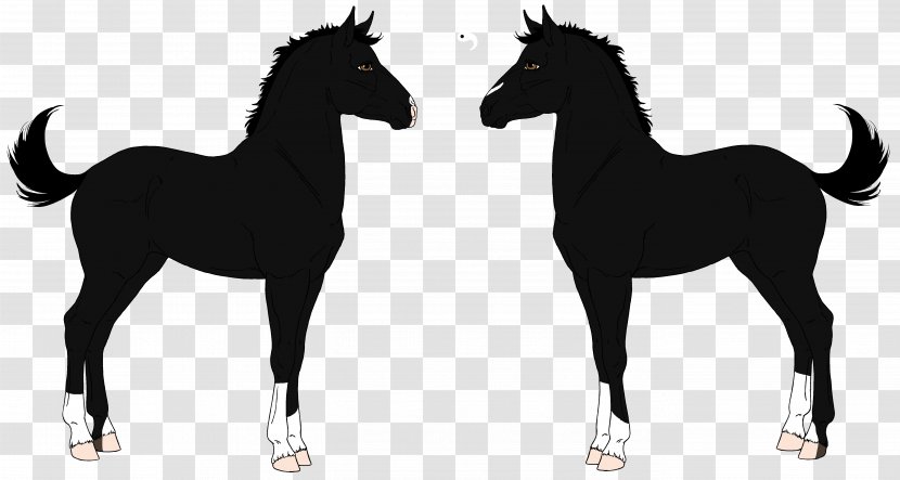 Mustang Foal Stallion Mare Pony - Pack Animal Transparent PNG