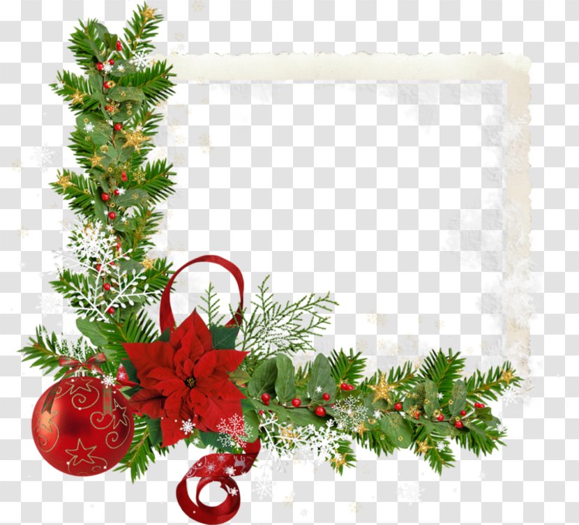 Joulukukka Poinsettia Christmas Day Clip Art - Floral Design - December Element Transparent PNG