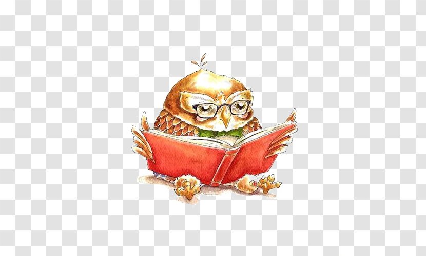 Little Owl Drawing Transparent PNG