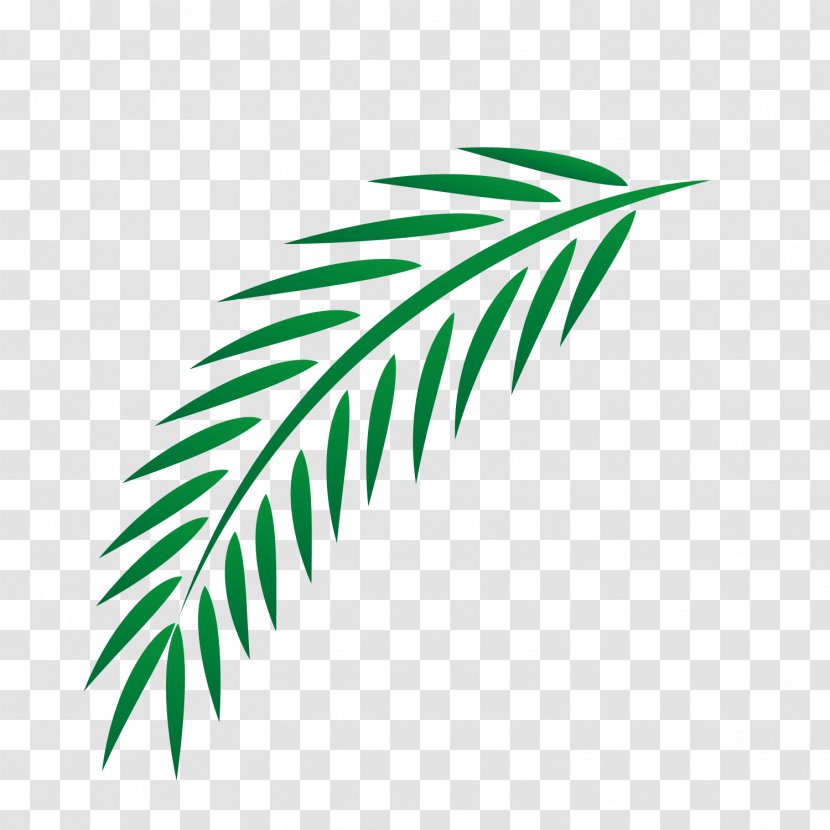 Leaf Euclidean Vector - Pattern - Easter Palm Leaves Transparent PNG