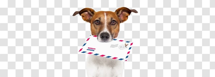 Dog Breed Letter Mail 4 Pics 1 Word Transparent PNG