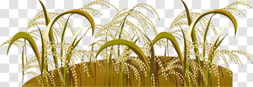 Rye Emmer Grasses Crop Scarecrow - Commodity - Fall Season Transparent PNG