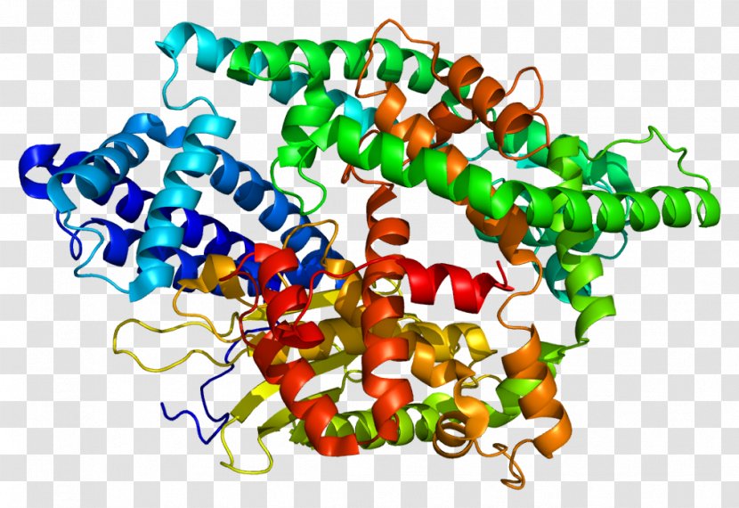 Gene Wiki Protein Wikipedia NLN - Body Jewelry - Genome Transparent PNG