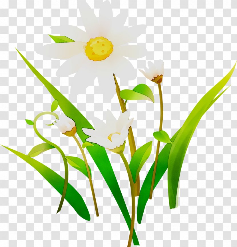 Floral Design Parent Child Safety Cut Flowers - Daffodil Transparent PNG