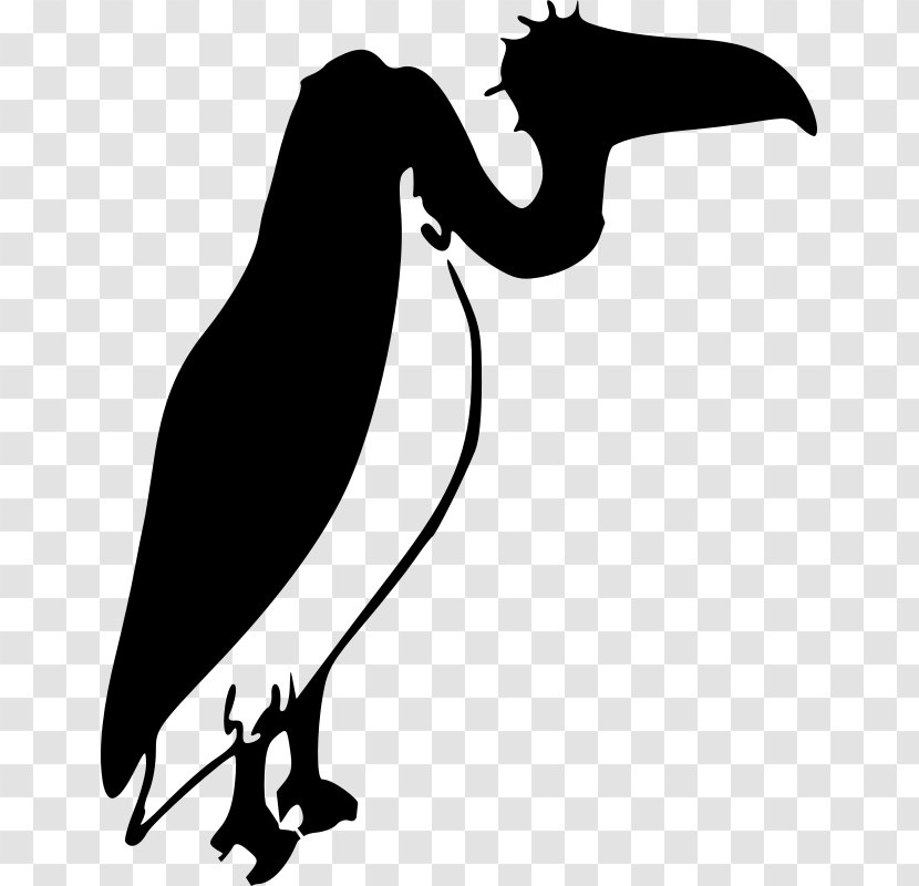 Silhouette Clip Art Vector Graphics Openclipart - Cormorant - Anytime Transparent PNG