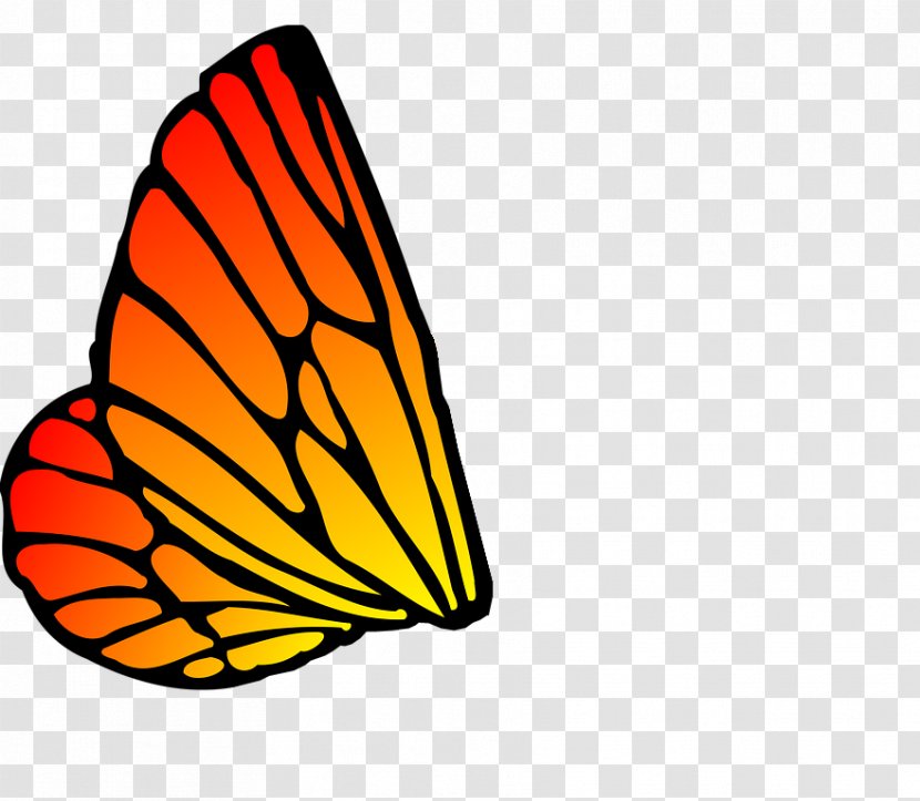 Monarch Butterfly Drawing Clip Art - Video Transparent PNG