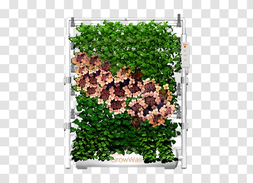 Leaf Tree Groundcover Shrub Purple - Flower Transparent PNG