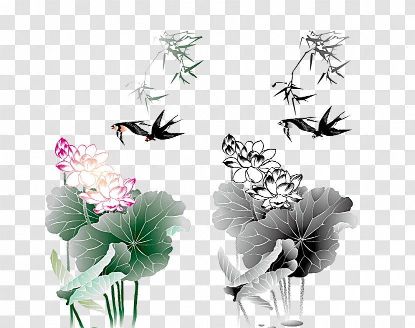Lotus Nelumbo Nucifera Cdr - Drawing - Leaf Transparent PNG