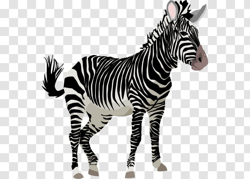 Zebra Cuteness Cartoon Clip Art - Animated Cliparts Transparent PNG