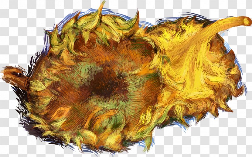 Sunflowers Common Sunflower Oil Painting - Feather - Painting,sunflower Transparent PNG