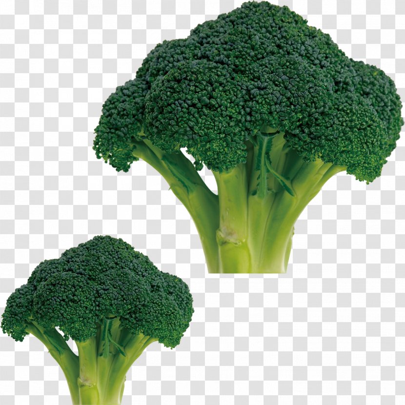 Broccoli Cauliflower Cabbage Vegetable Food - Tomato Transparent PNG