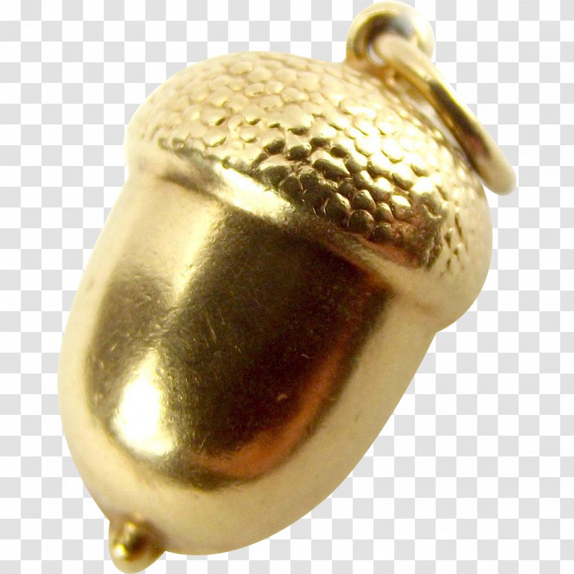 01504 Metal Jewellery - Brass - Acorn Transparent PNG