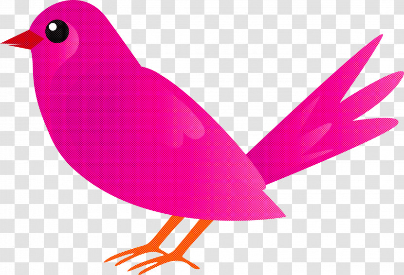 Bird Beak Pink Songbird Perching Bird Transparent PNG