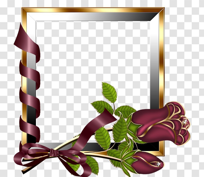 Picture Frames Image Editing Online Photo - Floristry - Venusia Frame Transparent PNG