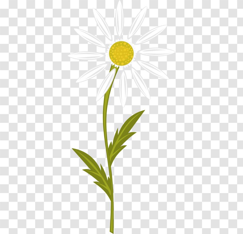 Chamomile Nuvola Clip Art - Yellow - Camomile Flower Transparent PNG
