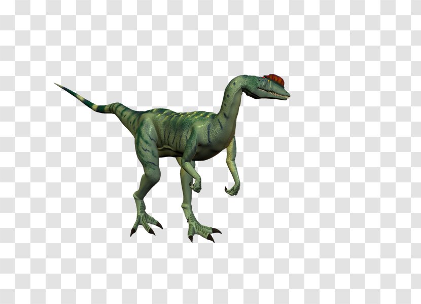 Velociraptor Tyrannosaurus PhotoScape GIMP - Gimp - Dinosaurs Transparent PNG