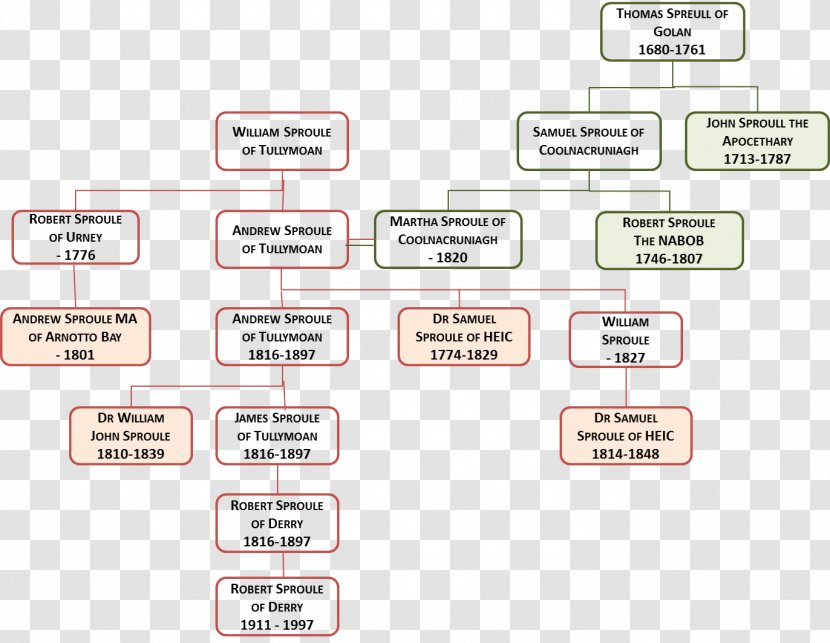 Family Tree Genealogy Ancestor Scotland - Paper - Miranda Kerr Transparent PNG