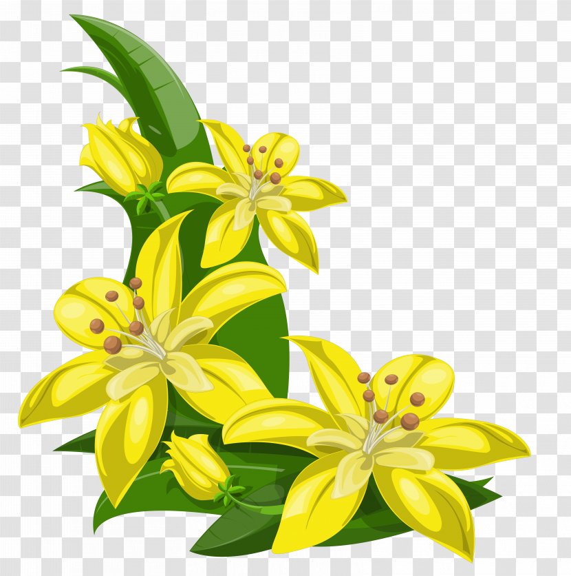 Flower Yellow Clip Art - Drawing - Tropical Transparent PNG