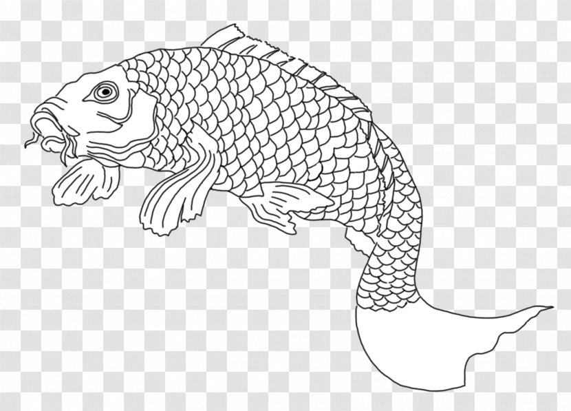 Line Art Drawing Marine Mammal /m/02csf Carnivora - Carnivoran - Koi Fish Transparent PNG