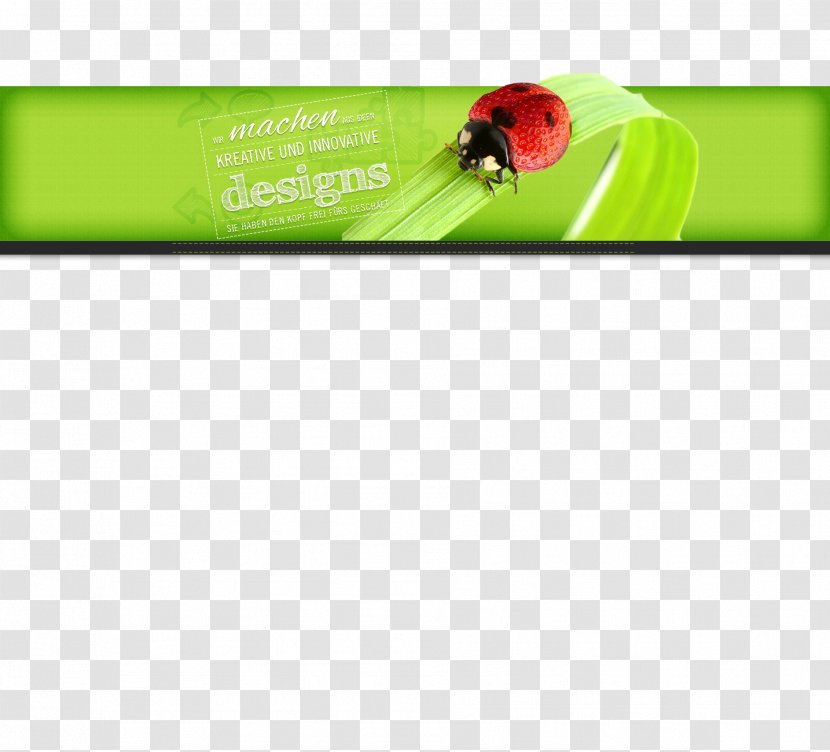 Advertising Brand - Grass - Web Flyer Transparent PNG