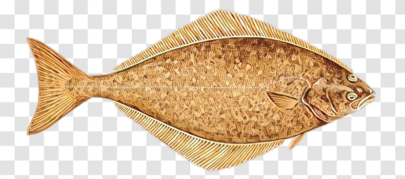 Fish Flatfish Sole Fish Flounder Transparent PNG