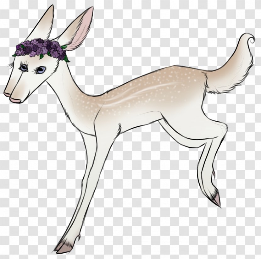 Dog Mammal Deer Springbok Horse - Carnivoran Transparent PNG