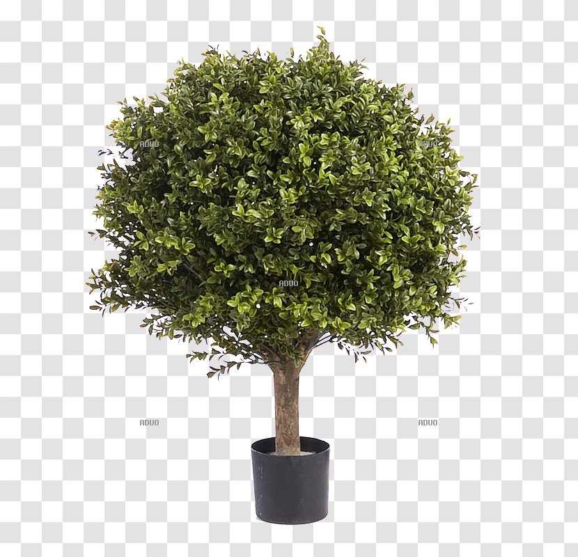 Tree Flowerpot Artificial Flower Olive - Houseplant - Broken Pot Transparent PNG