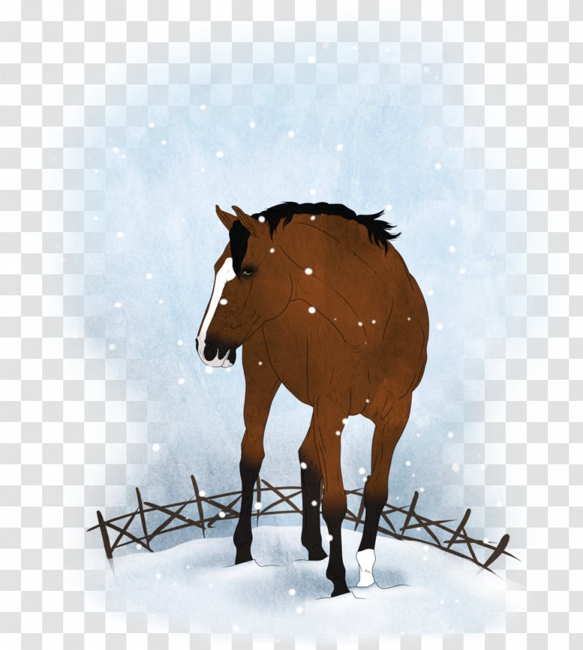 Mule Mustang Stallion Bridle Mare - Colt Transparent PNG