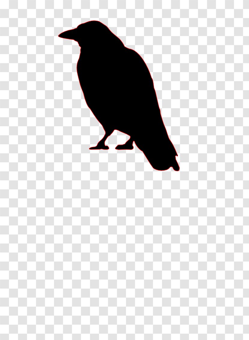 Bird Common Raven Crow Silhouette Clip Art - Drawing Transparent PNG