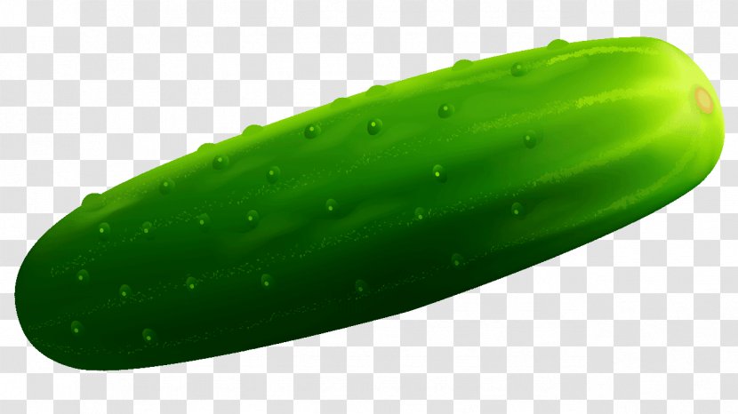 Pickled Cucumber Vegetable Melon Clip Art - Fruit Transparent PNG