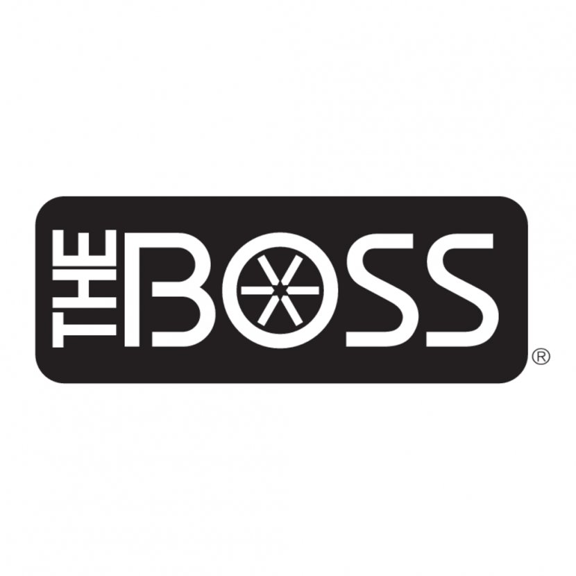 Boss Snowplows & Ice Control Plough Spreader Snow Removal - Symbol Transparent PNG