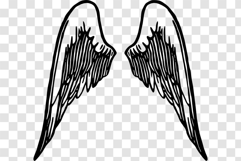 Clip Art - Angel - White Feather Transparent PNG