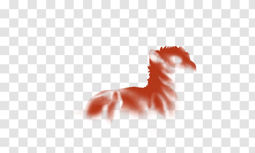 Lion Mane Agility Endurance Physical Strength - Tail Transparent PNG