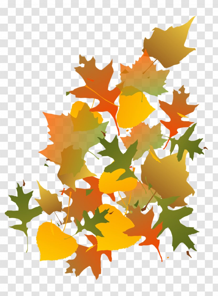 Maple Leaf Autumn - Flowering Plant - Fall Transparent PNG