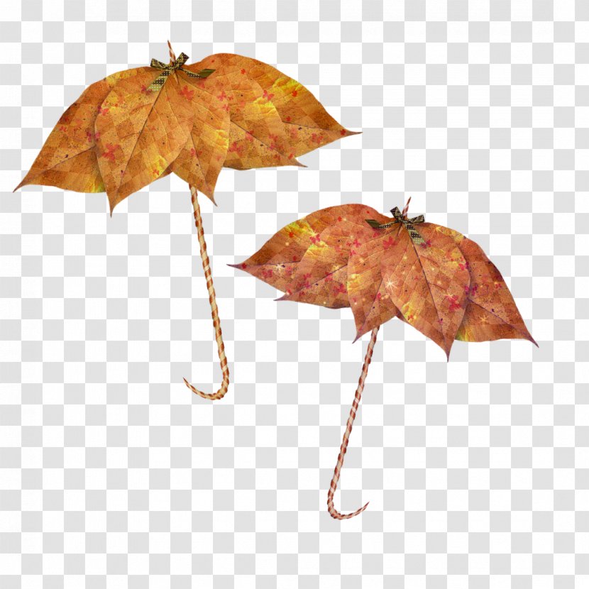 Umbrella Desktop Wallpaper Clip Art - Ants Transparent PNG