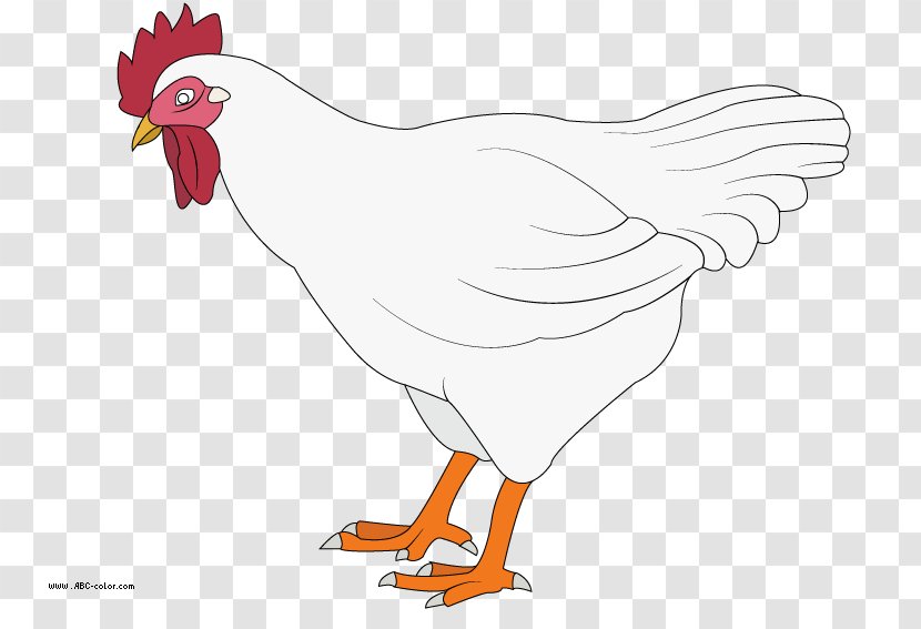 Rooster Leghorn Chicken Drawing Nugget Clip Art - Bird - Fried Transparent PNG