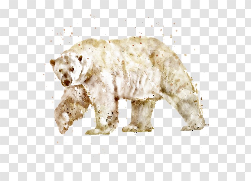 Polar Bear American Black Watercolor Painting Brown Transparent PNG