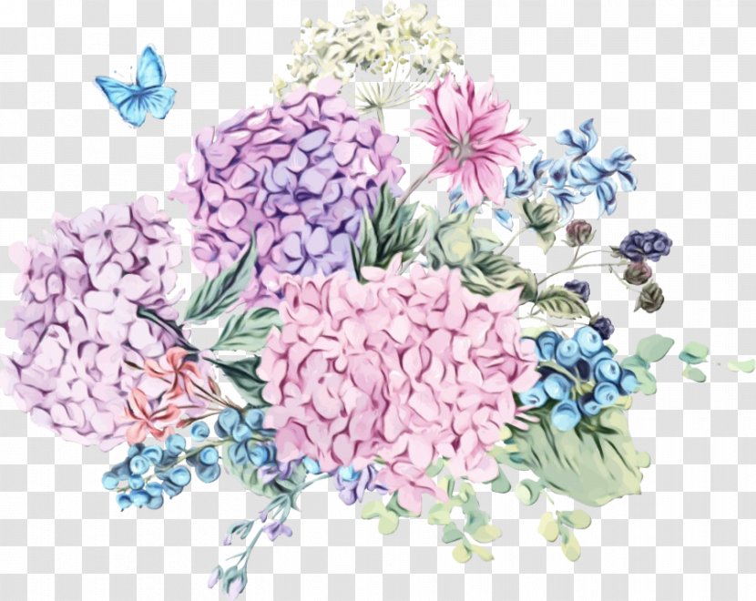 Watercolor Painting Stock Illustration Flower Graphics - French Hydrangea - Perennial Plant Transparent PNG
