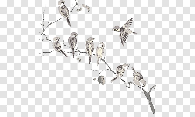 Bird - Designer - Ink Transparent PNG