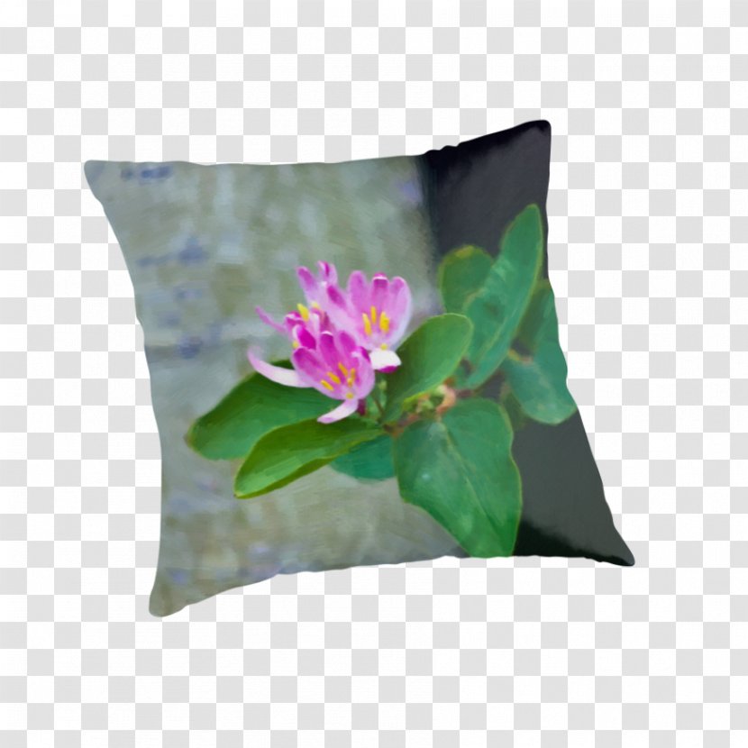 Throw Pillows Cushion Cupcake Kavaii - Plant - Pillow Transparent PNG