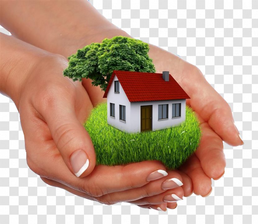 House Real Estate Home Building Investment - Palm Transparent PNG